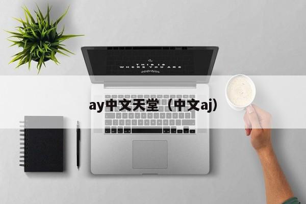 ay中文天堂（中文aj）