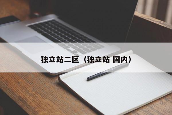 独立站二区（独立站 国内）