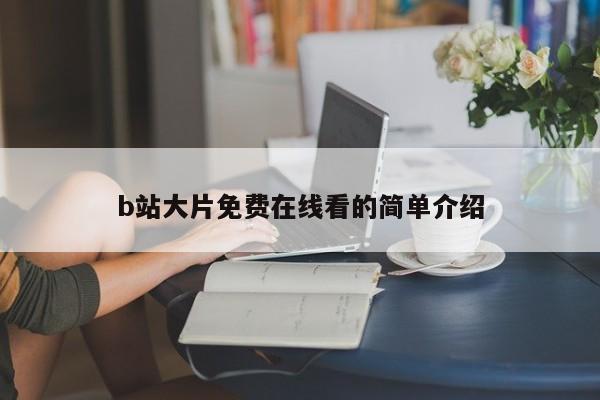 b站大片免费在线看的简单介绍
